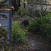 Picture 004